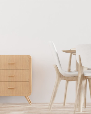 Modern Dining Chairs